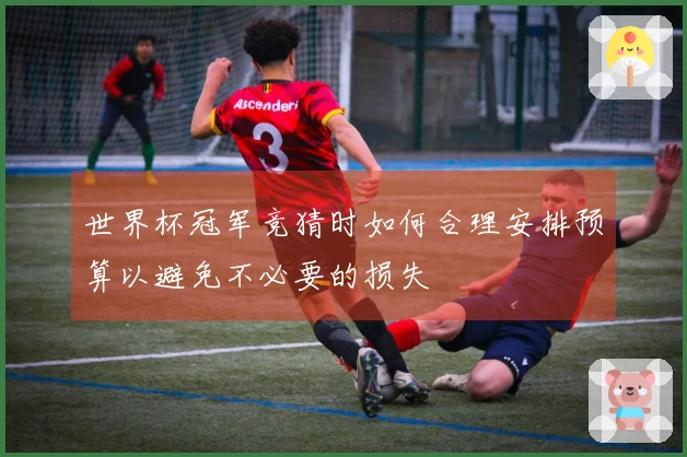 世界杯冠军竞猜时如何合理安排预算以避免不必要的损失