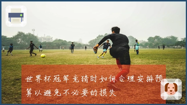 世界杯冠军竞猜时如何合理安排预算以避免不必要的损失