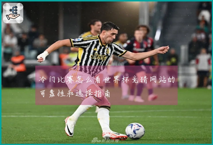 冷门比赛怎么看世界杯竞猜网站的可靠性和选择指南