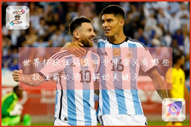 世界杯投注站盘口升降含义有哪些，投注前必须了解的关键点