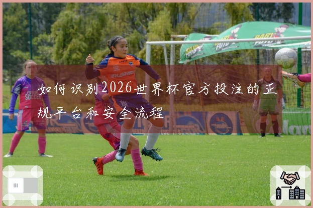 如何识别2026世界杯官方投注的正规平台和安全流程