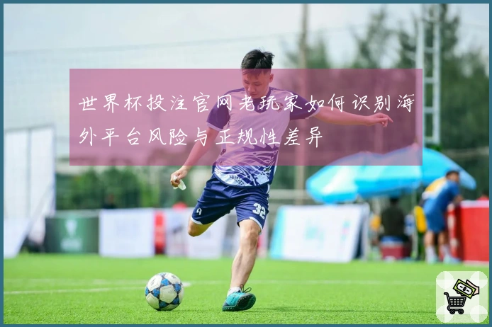世界杯投注官网老玩家如何识别海外平台风险与正规性差异