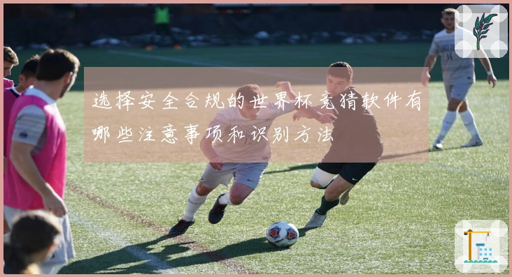 选择安全合规的世界杯竞猜软件有哪些注意事项和识别方法