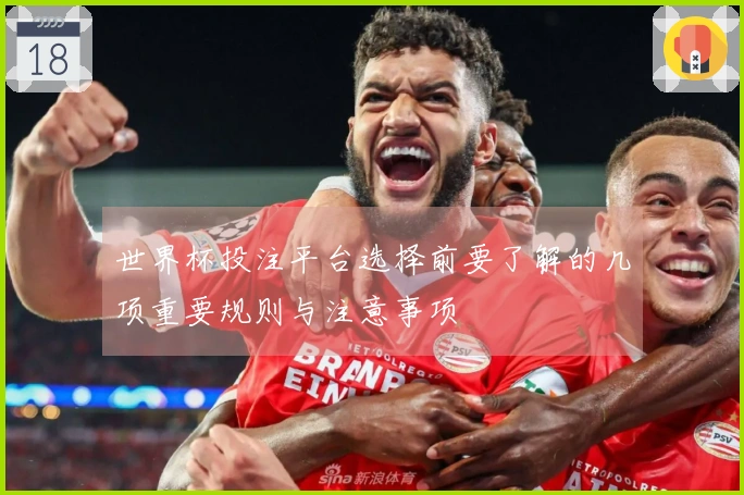 世界杯投注平台选择前要了解的几项重要规则与注意事项