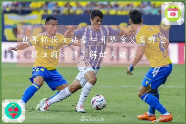 亚星官网体育资讯图片